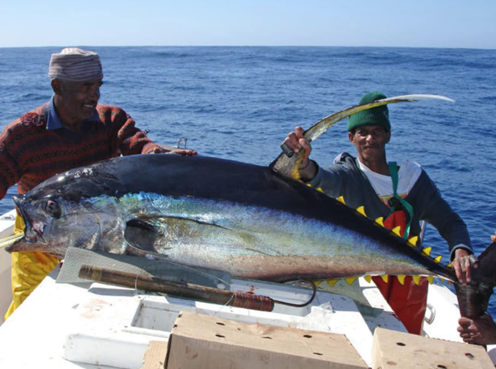 Pesca en Isla Sao Nicolau - Cabo Verde